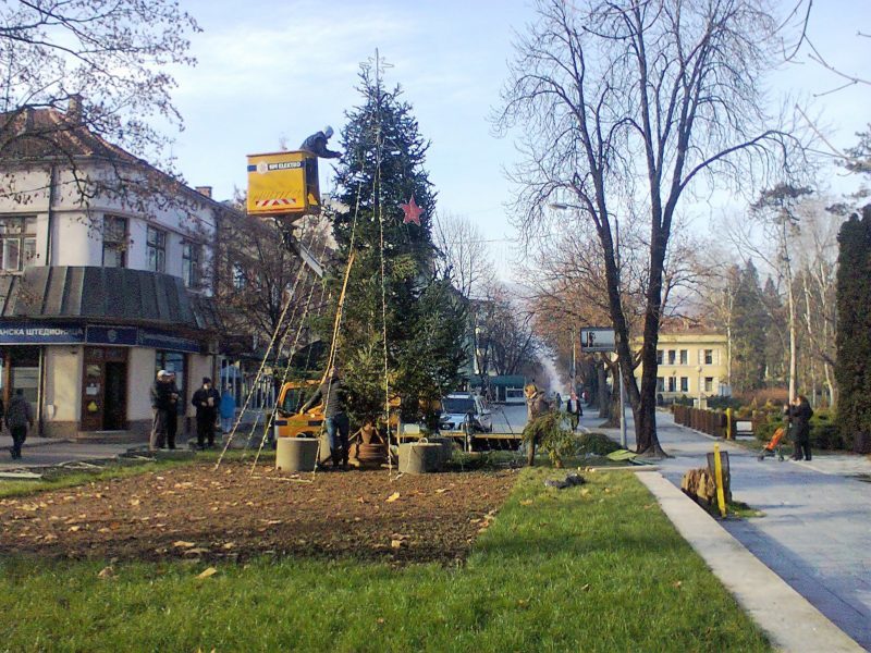 НП Тара - новогодишња јелка