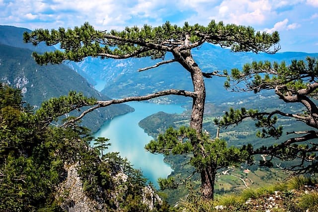 Анкета Б 92 планина Тара