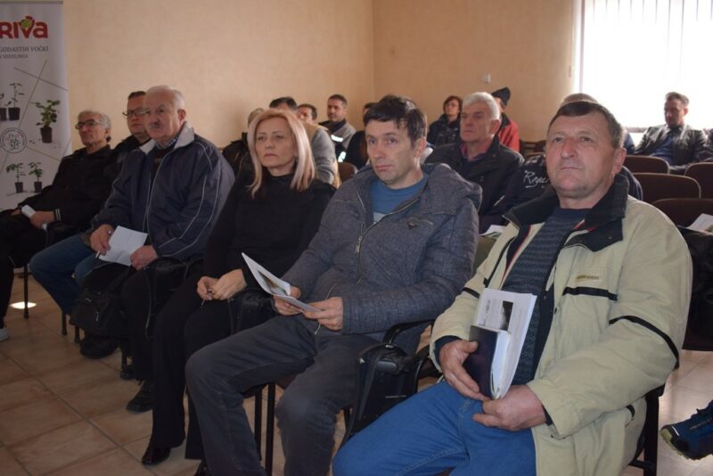 Малинари, предавање , Флорива Ивањица