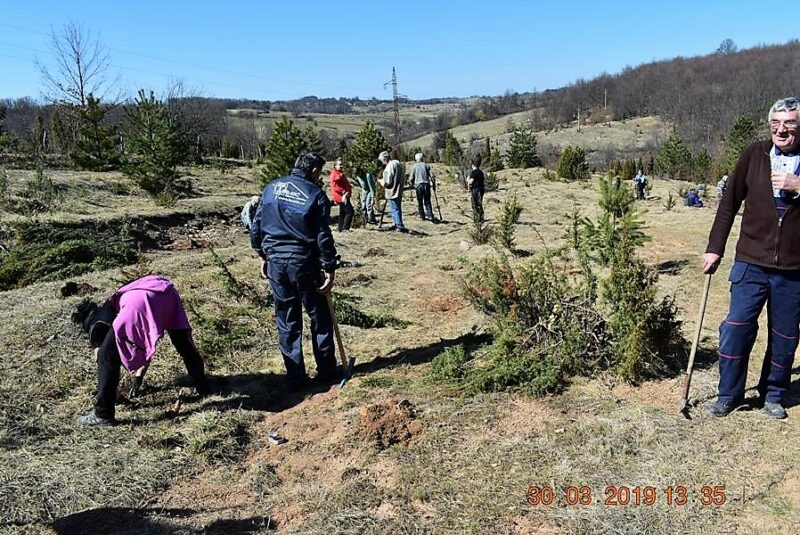 ОРА - Стапари