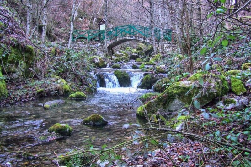 Рача, Доња Копривна