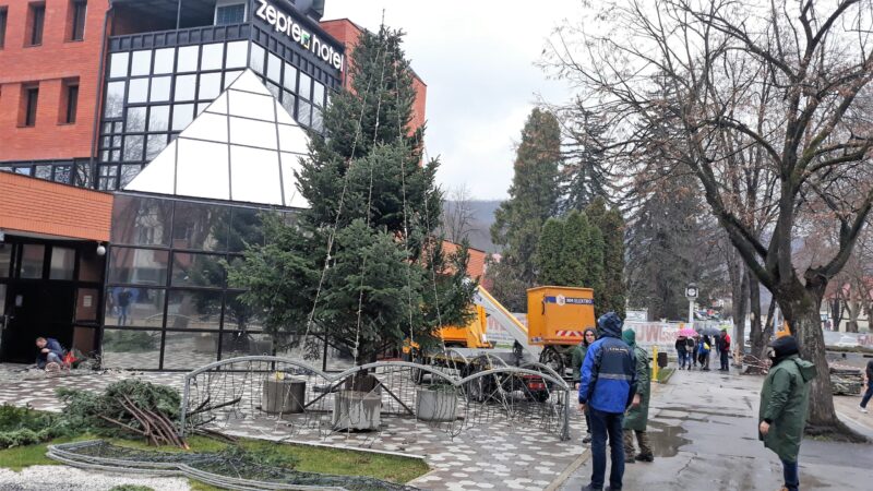 Новогодишња јелка на Тргу