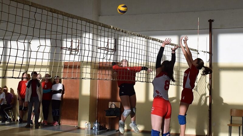 Са првенства основаца у одбојци у Бачевцима