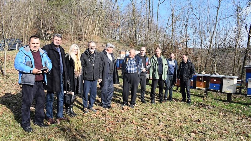 На пчелињаку Рада Марјановића