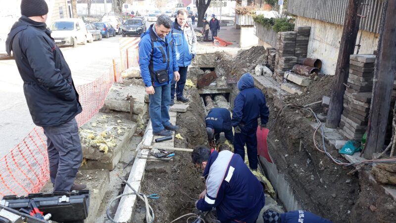 бб терм - квар