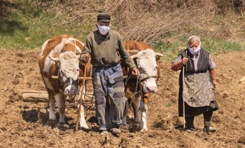 Фотографија дана