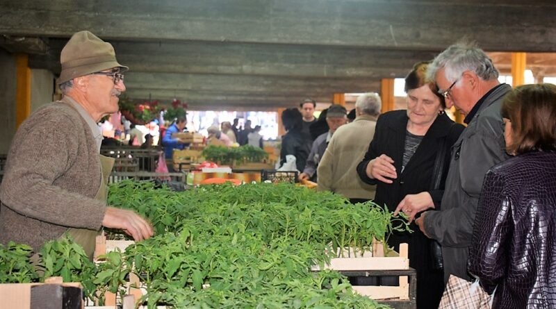 ЗЕЛЕНА ПИЈАЦА У БАЈИНОЈ БАШТИ