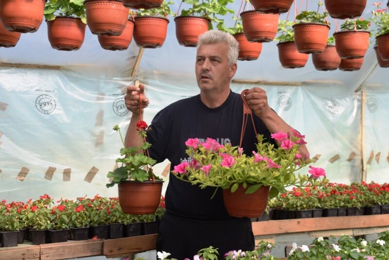 Новак Петровић