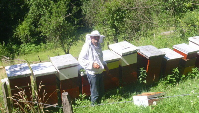 Rade Marjanovic na svom pcelinjaku u Dubravama