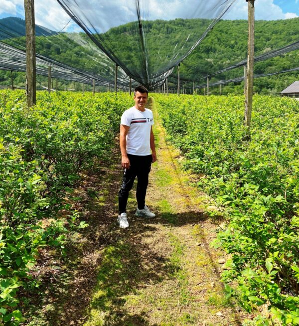 Ђуро Вујић на својој плантажи