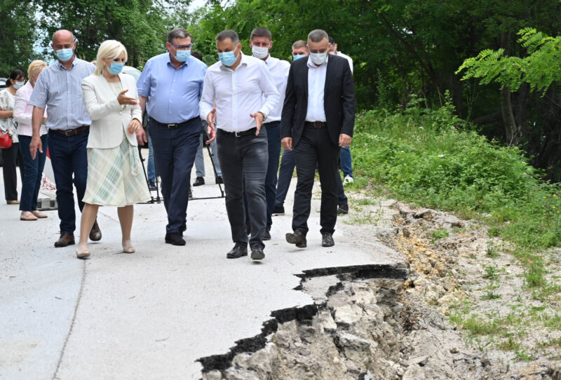 зорана - михајловић