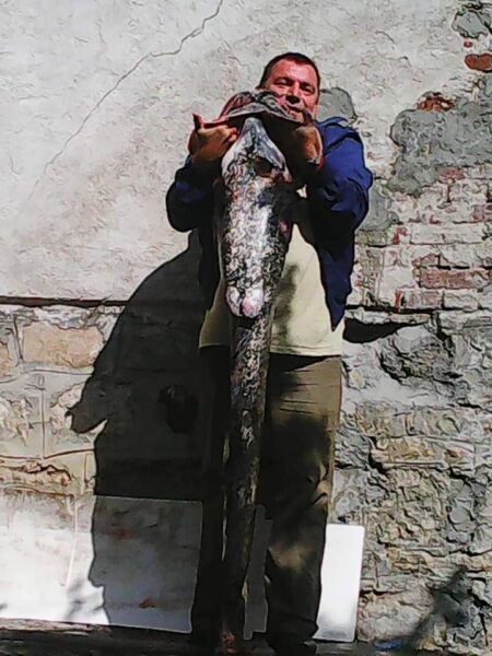 Stojan-Lazic-upecao-soma-od-33-kg-2