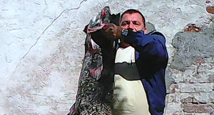 Лазић са упецаним сомом капиталцем