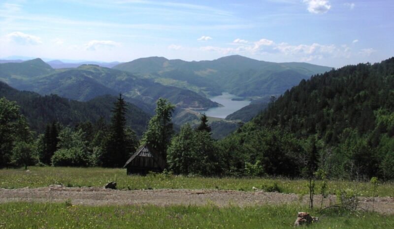 ТАРА- ФОТО ВИКИПЕДИА