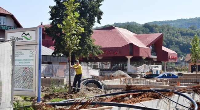 Садња нових платана на Тргу