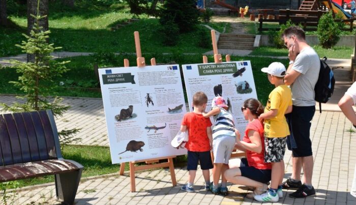 Дан Панчићеве оморике