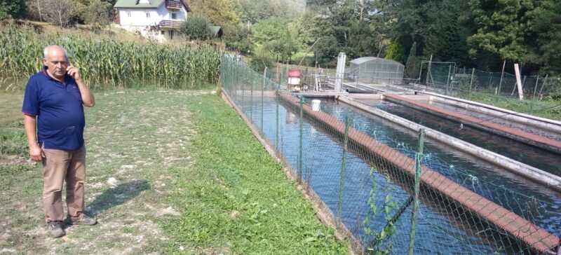 Најбоља пастрмка се узгаја у рибњаку у Солотуши