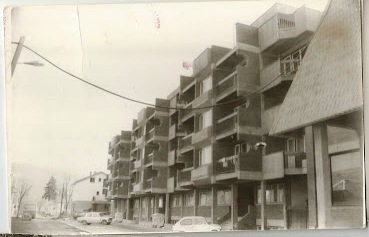 ДАН ОПШТИНЕ СТАНОВИ У УЛИЦИ ВОЈВОДЕ МИШИЋА