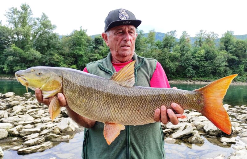 Миодраг Живковић са упецаном мреном