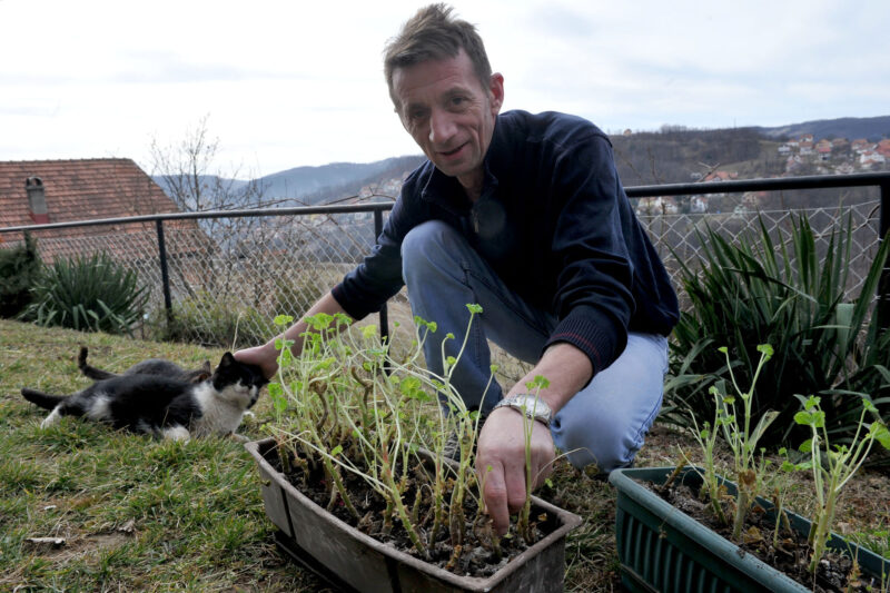 Бели уређује цвећњаке и дворишта