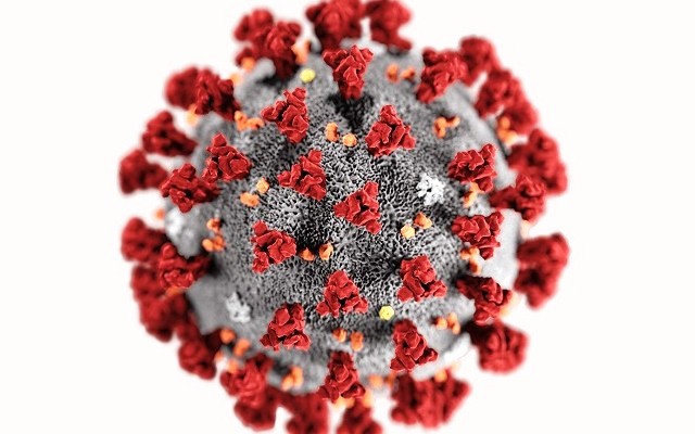 Koronavirus-