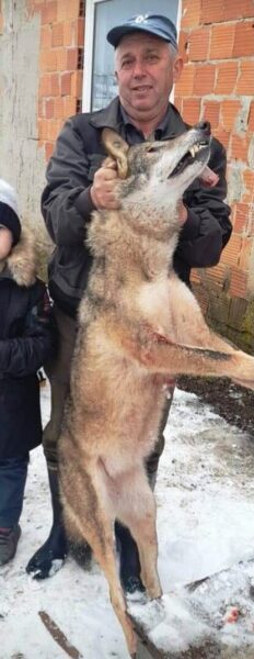 Ловци - ЛУ Соко