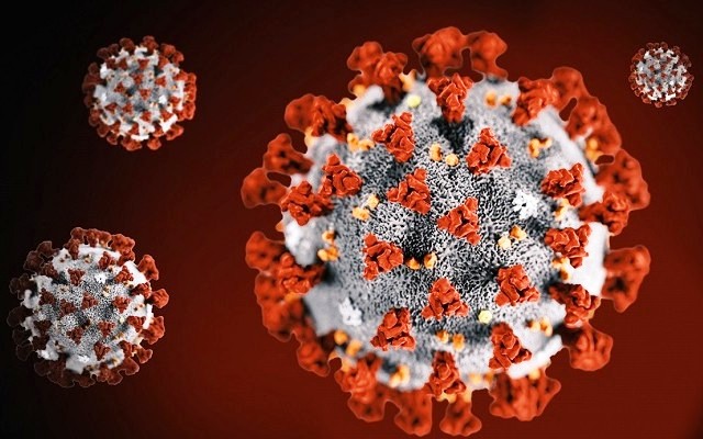 Koronavirus-7, Bajina Basta