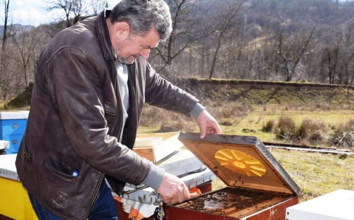 Раде Марјановић у свом пчелињаку