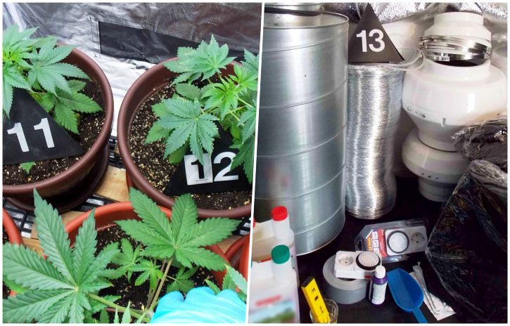 лАБОРАТОРИЈА-МАРИХУАНА