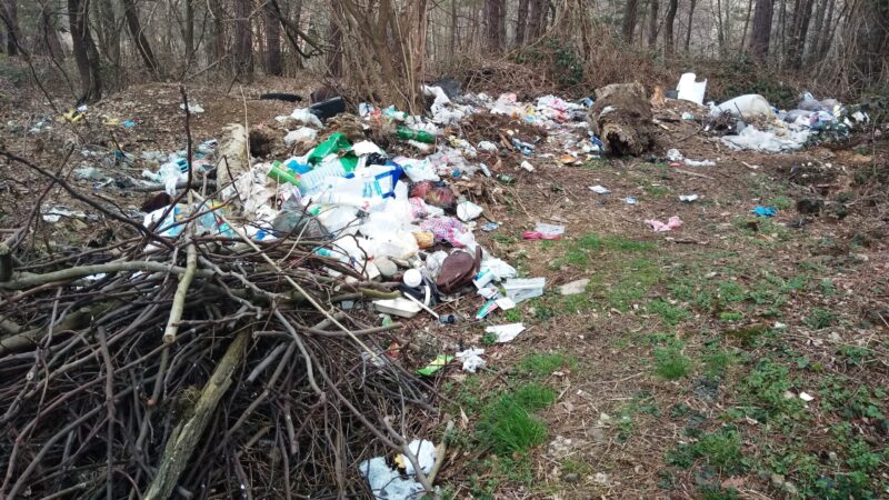 Тарска улица, депонија