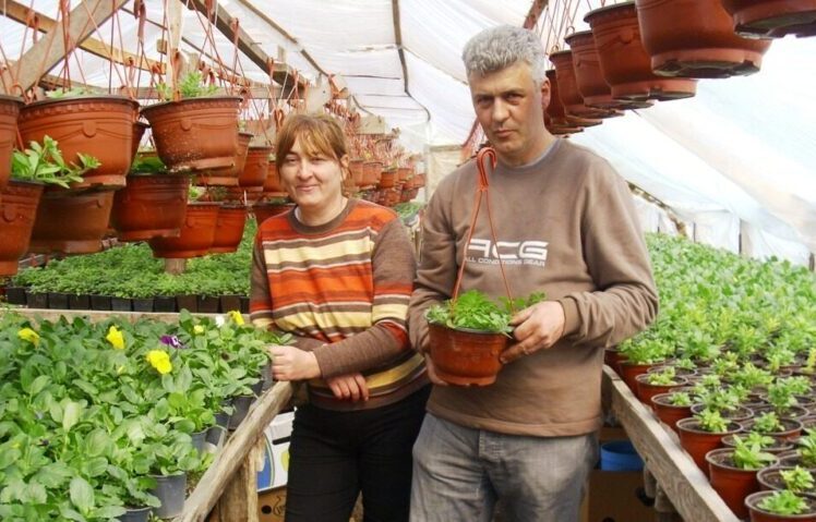 Новак и Весна Петровић