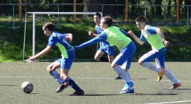 ПИОНИРИ СЛОГЕ БАЈИНА БАШТА