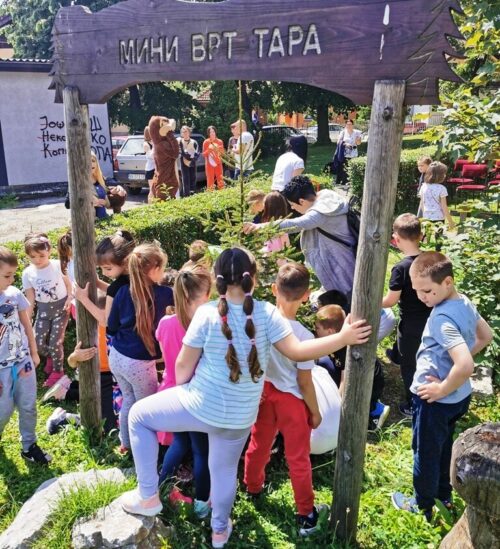 Detalj sa zasadjivanja