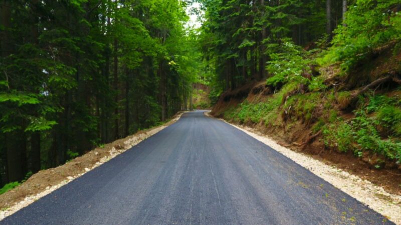 Аслфалтирање на Митровцу на Тари