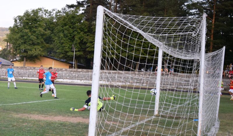 Gol Nikole Veselinovica