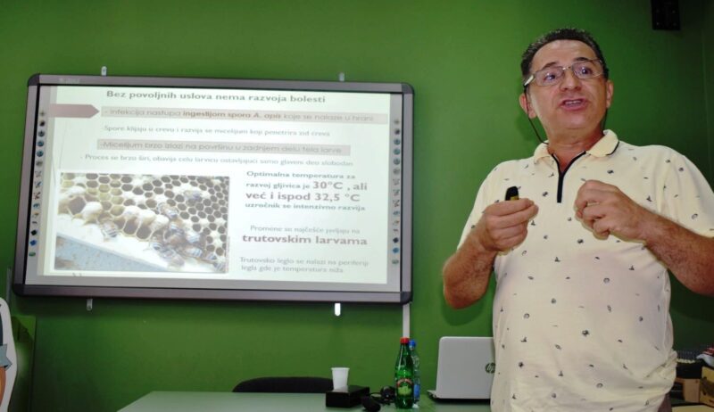 Proifesor Zoran Stanimirovic