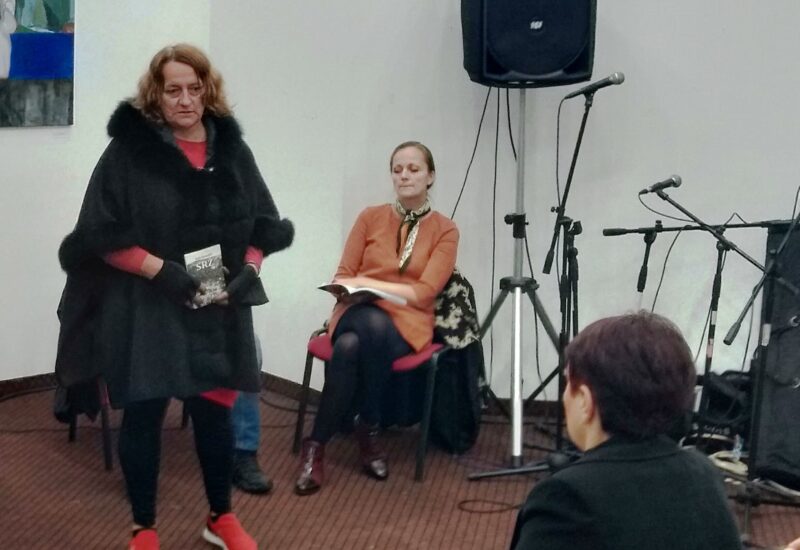 ида Нернадић, бронзани кладенац