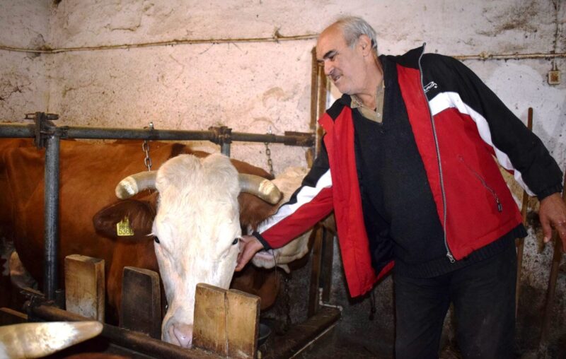Miloje Martjanovic