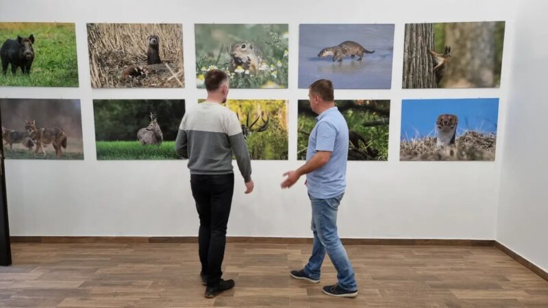 Изложба - Предраг Костин 02