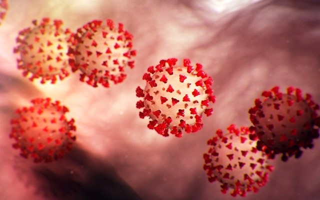 Koronavirus-- Бајина Башта, 17.6.2022.