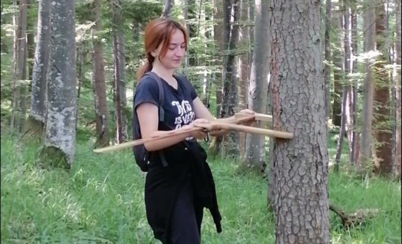 Попис, премер шума у НП Тара