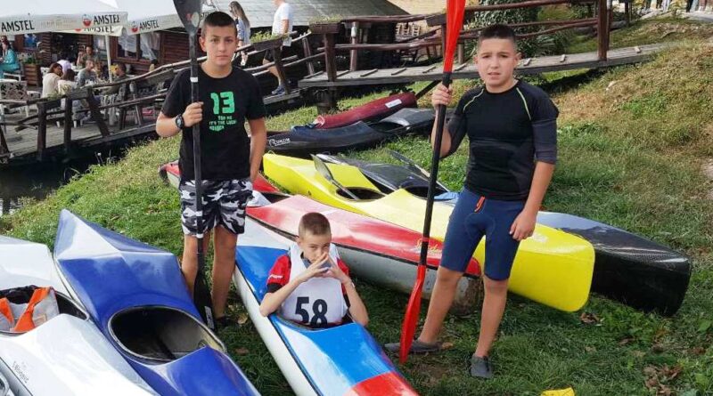 Кајакаши Дрине