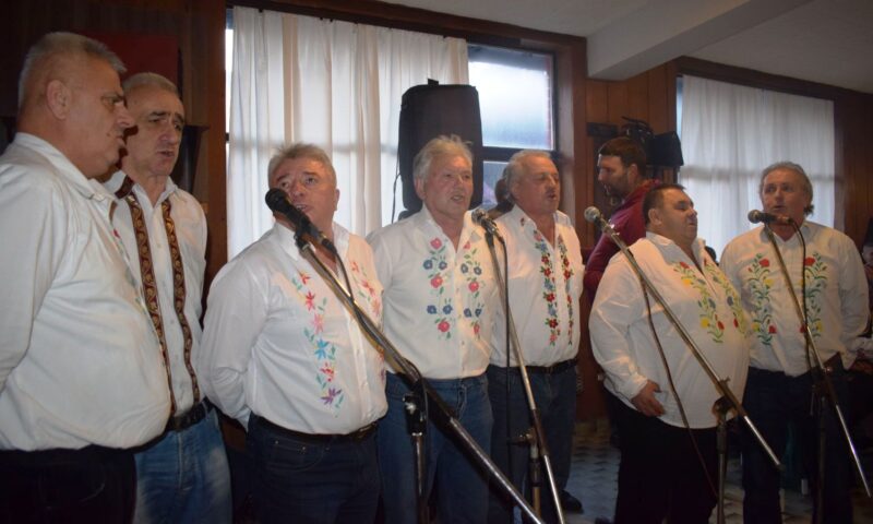 Kostojevici 2 Prvo zrno suncokreta
